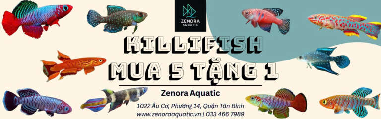 z6881214315631_9df9ff4d53046065e4becd6b8e8baa54